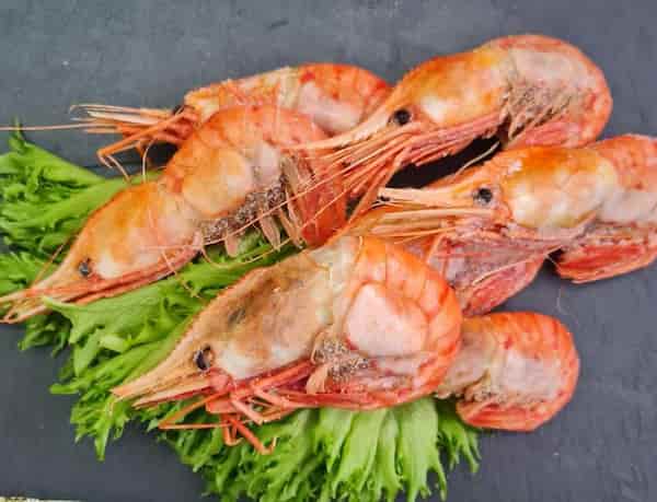 تصویر 1 از قیمت میگو صادراتی بوشهر + خرید باور نکردنی